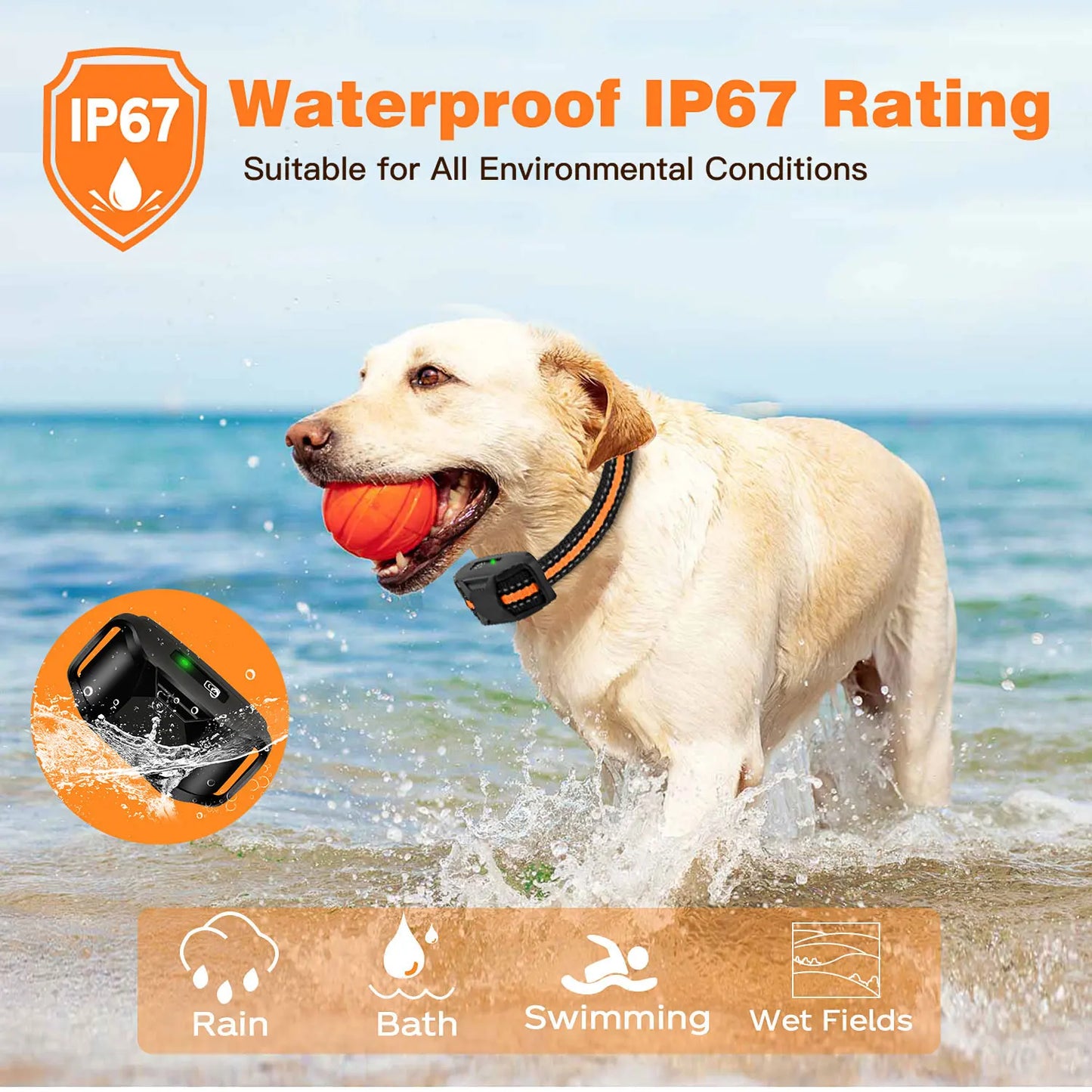 Collar de entrenamiento eléctrico para perros de 1000 m con control remoto, resistente al agua, para cachorros de 2,2 a 54 kg, con vibración y descarga eléctrica.