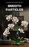 Creative Orchid Cymbidium Eternal Flowers Potted Plant Building Blocks Simulation Phalaenopsis DIY Bricks Toys Valentine's Gift