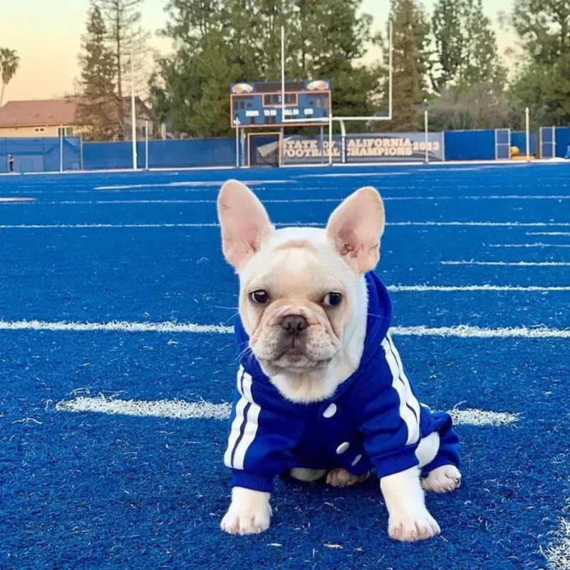 Small and Medium Dog Jumpsuit, Pet Clothing, Puppy Clothing, French Bulldog, Chihuahua, Pug, Pets, Clothes 