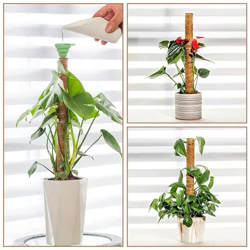 Palos de palma de coco para trepar plantas con palos Palos de palma de coco extensibles y deformables para accesorios de plantas de jardinería