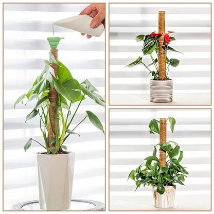 Palos de palma de coco para trepar plantas con palos Palos de palma de coco extensibles y deformables para accesorios de plantas de jardinería