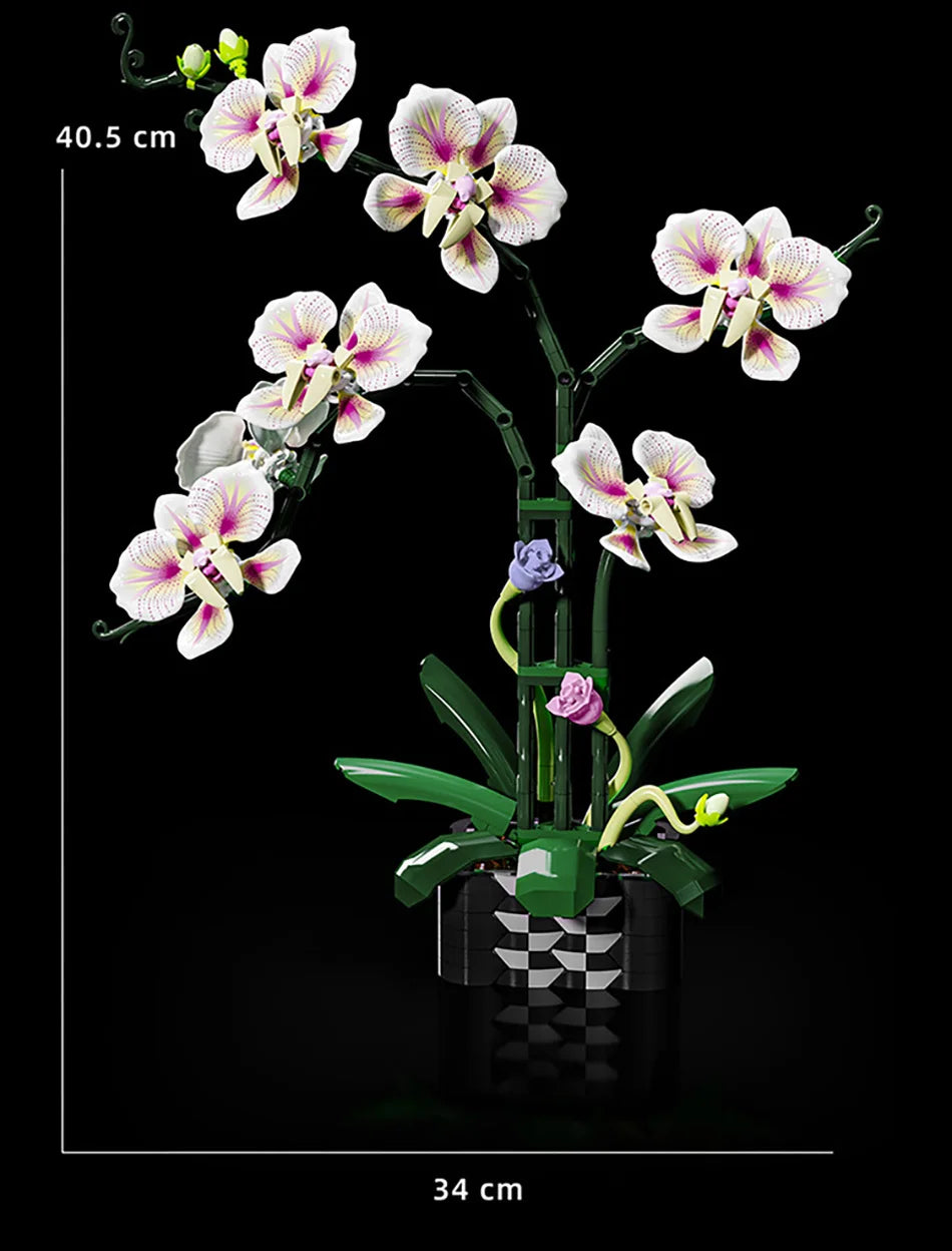 Creative Orchid Cymbidium Eternal Flowers Potted Plant Building Blocks Simulation Phalaenopsis DIY Bricks Toys Valentine's Gift