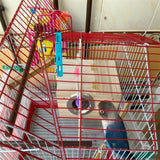 High Quality Wooden Bird Cage Nesting Box Breeding Hatching Nest for Parakeet Budgies Cockatiel Finch Lovebird Parrot Birdhouse