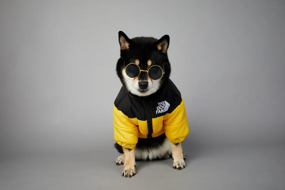 Puppy Coat Dog Down Jacket The Dog Fans Winter Pet Clothes for Small Medium Dogs Warm Thick Dog Vest French Bulldog Dropshipping