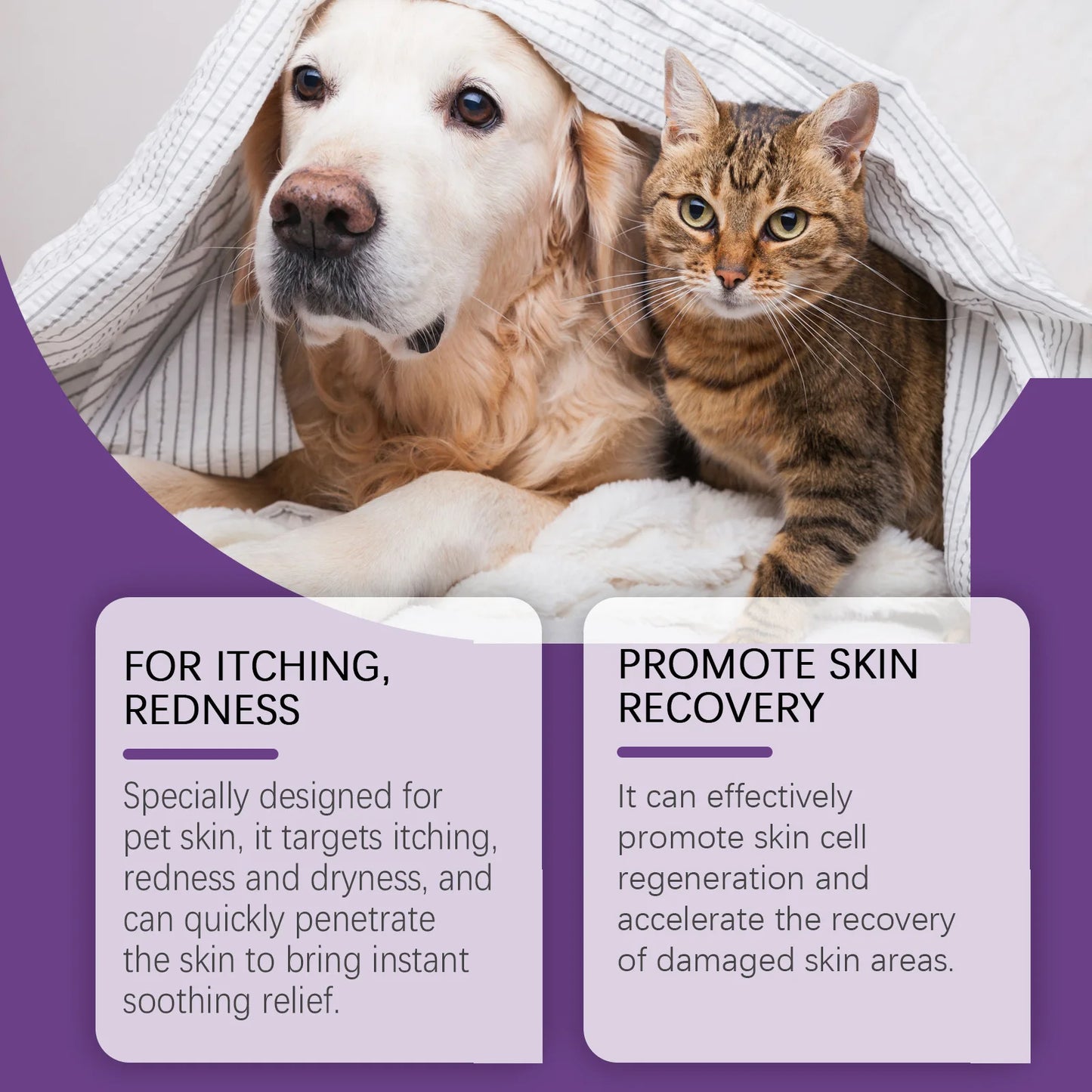 EELJOY Pet Skin Care Cream for Dogs Cats Dry Itchy Skin Relief Soothing Balm Anti Itch Lotion Allergy Treatment Paw Repair
