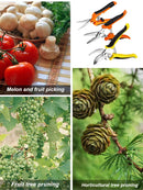 3pcs Multifunctional Stainless Scissors Pruner Garden Scissors for Gardening Flower Fruit Tree Manually Scissor Electrician Tool