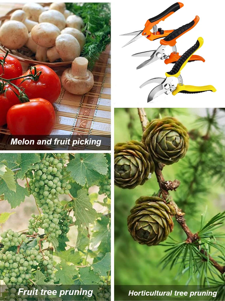 3pcs Multifunctional Stainless Scissors Pruner Garden Scissors for Gardening Flower Fruit Tree Manually Scissor Electrician Tool