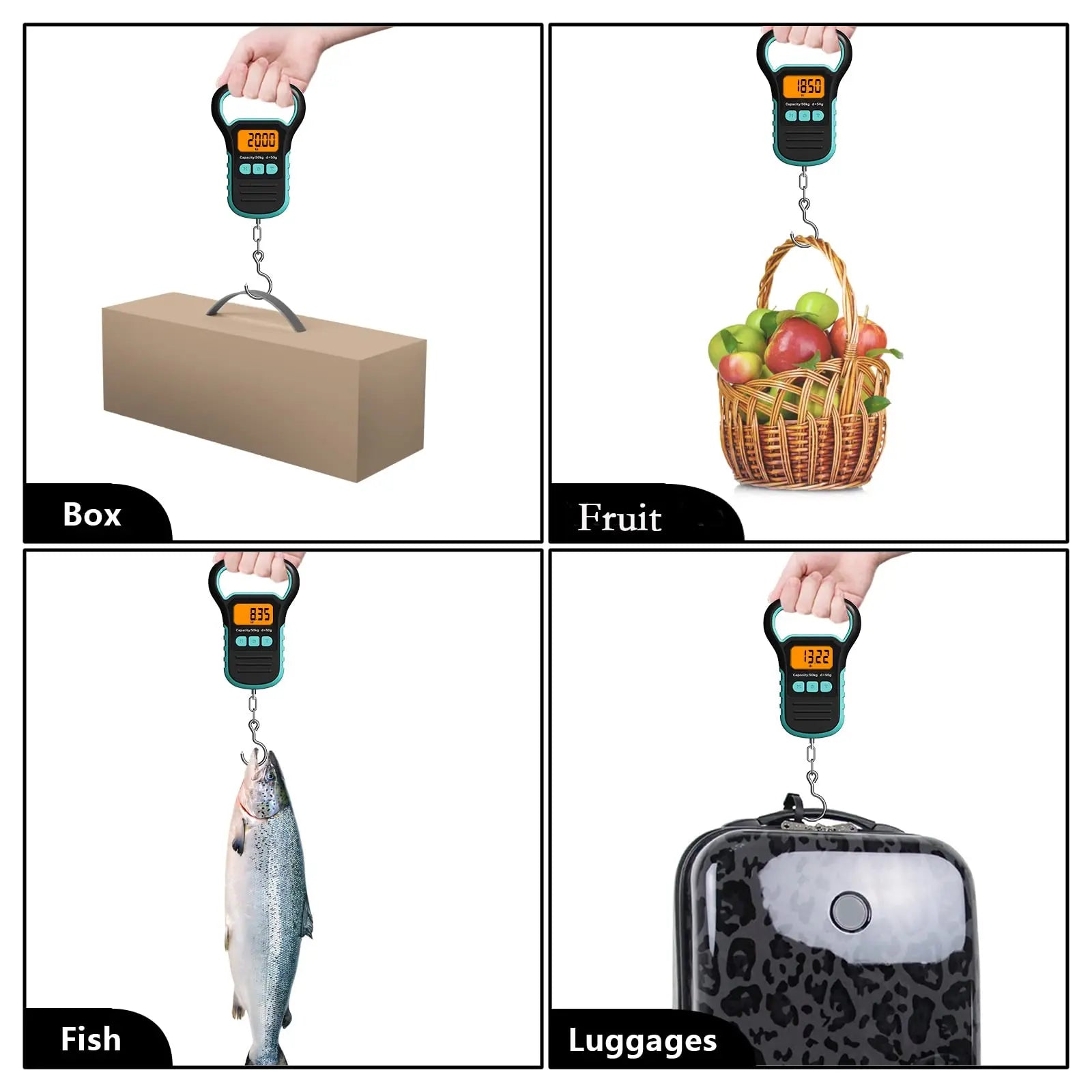 Digital Fish Scale with Ruler and Catch, 110 lb/50 kg Portable Hanging Fish Scale, Luggage Weighing Scale, Backlit LCD Display