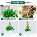 30/40/50cm Moss Pole for Indoor Climbing Plants Creepers to Grow Upwards Plant Support with Garden Ties