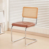 Mid-Century Modern Dining Chairs with Metal Frame, Multiple Styles Leisure chair for Kitchen, Living Room, Office , Muebles