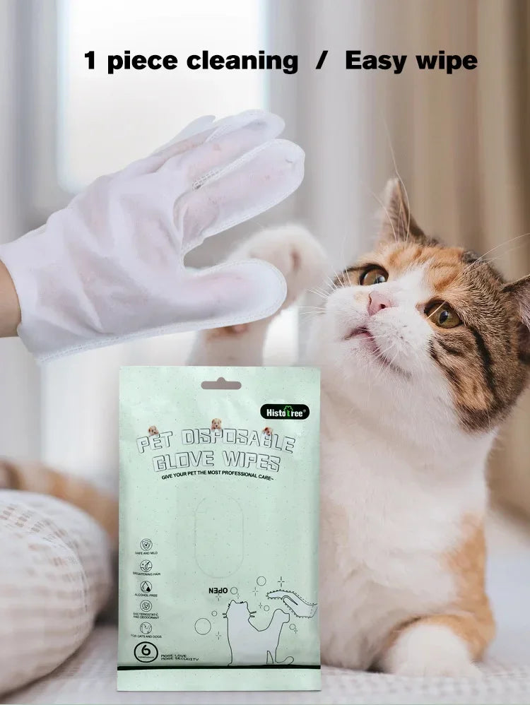 6PCS Cat Dog Disposable Glove Towels Pet Wash Free Glove No Rinse Washing Gloves Towels Deodorizing Dry Cleaning Wet Towels