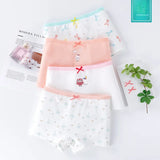 Shorts de boxer de algodão puro infantil, roupas íntimas sem costura sem virilha, cuecas grandes médias, meninas