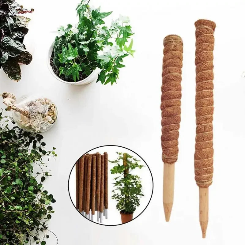 Palos de palma de coco para trepar plantas con palos Palos de palma de coco extensibles y deformables para accesorios de plantas de jardinería