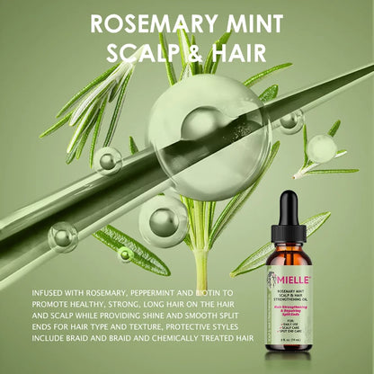 Óleo essencial para o crescimento do cabelo, tratamento nutritivo para fins divididos e orgânicos secos, cuidados capilares, nutrição, hortelã, hortelã