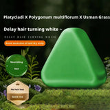 Shampoo Bar Platycladus Orientalis Natural Herbal Soap For Hair Loss Controls Oil Strengthens Root Shampoo Soap Hair Accessories