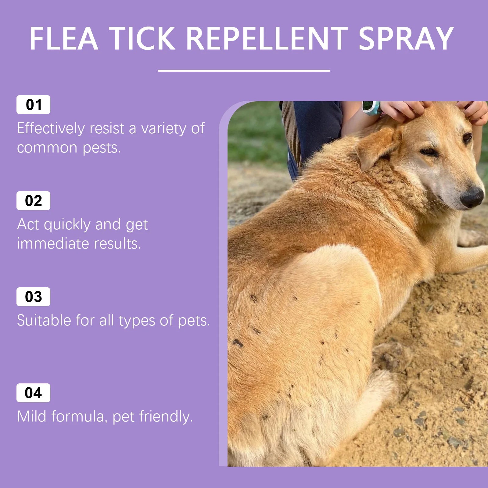 YEGBONG 50ml Flea Tick Prevention Spray for Dogs and Cats Fast-Acting Waterproof Outdoor Protection with Natural Essential Oils