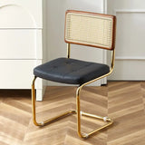 Mid-Century Modern Dining Chairs with Metal Frame, Multiple Styles Leisure chair for Kitchen, Living Room, Office , Muebles