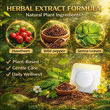 Herbal Body Detox Patch Belly Slim Patch Natural Plant Extract Cleaning Patch for Waist Abdomen Legs Body Care Sticker 10PCS