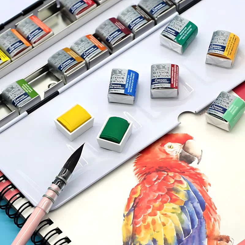 Winsor & Newton Cotman High-Quality Watercolor Paint 24-Color Half-Pan Artist Art Student Special Sketch Paint Set