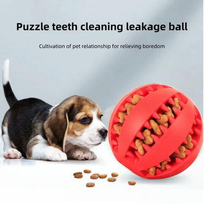 Pelota de goma para limpieza de dientes de perro, juguete interactivo para masticar, regalo para cachorros, 3 tamaños, 1 unidad 
