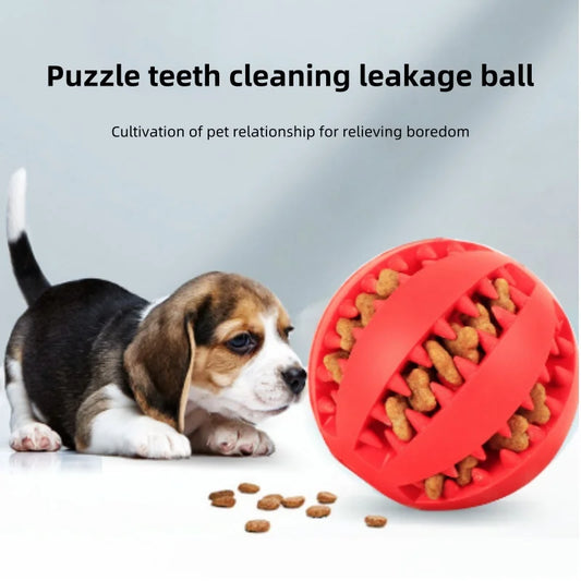 Bola de borracha para cães, limpeza dos dentes, Pet Training, interativo, produto para mastigar, cachorros, filhotes, presente, 3 tamanhos, 1pc