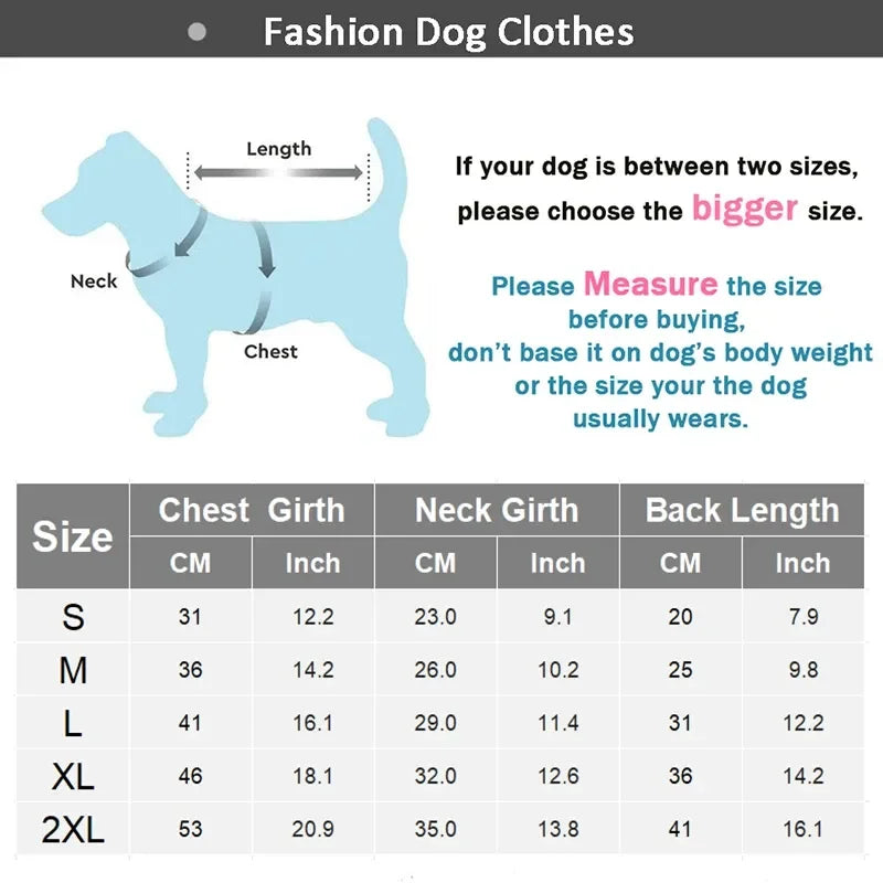 Shop now for our luxurious and cozy premium pet accessories to elevate your furry friend's look. Treat your beloved companion to