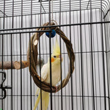Solid Wood Parrot Stand Training Bird Stand Parrot Toys Desktop Training Stand Pole Interactive Playground Small Pet supplies