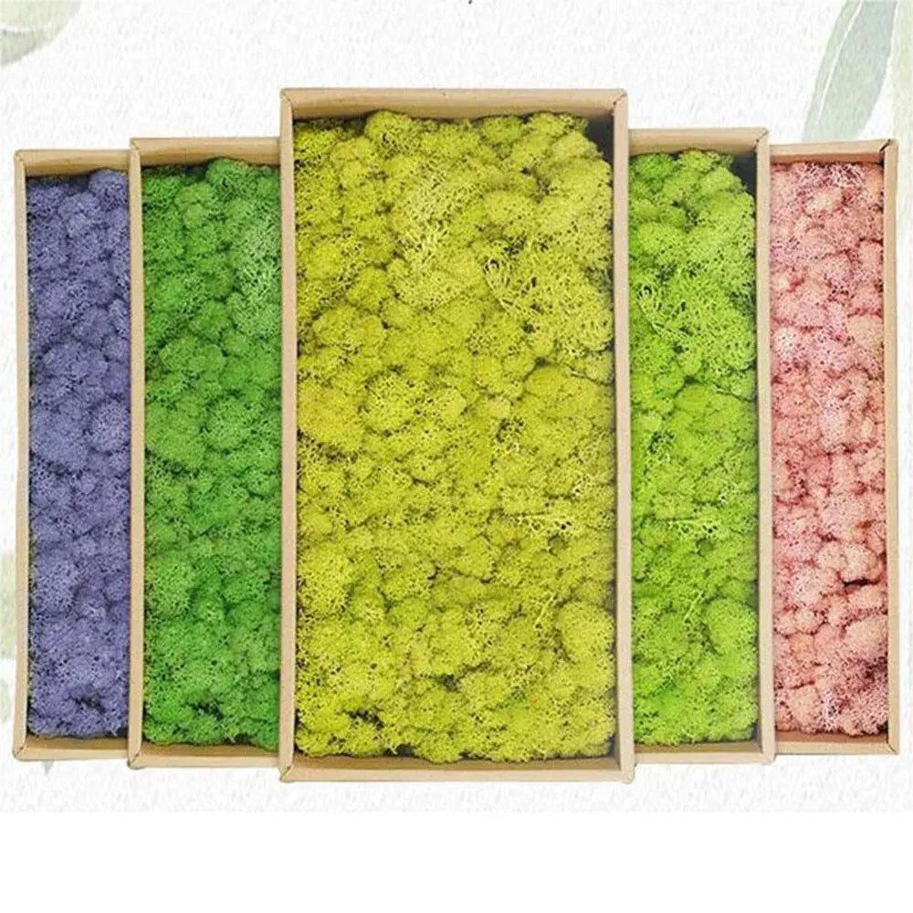 Artificial Green Plants Eternal Life Moss DIY Crafts Grass Garden Home Room Decor Mini Landscape Fake Grass 20/40/100g