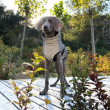 Reflective Pet Dog Outdoor Jacket Pet Coat Vest Winter Warm Reflective Cotton Dogs Clothing for Large Middle Dogs  Labrador