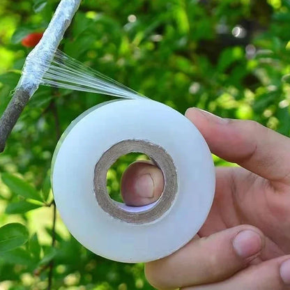 Cinta de injerto flexible de polietileno autoadhesiva, rollo de cinta para injertar árboles y plantas, estirable, 3/4 cm de ancho, 1 unidad.
