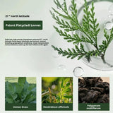 Shampoo Bar Platycladus Orientalis Natural Herbal Soap For Hair Loss Controls Oil Strengthens Root Shampoo Soap Hair Accessories