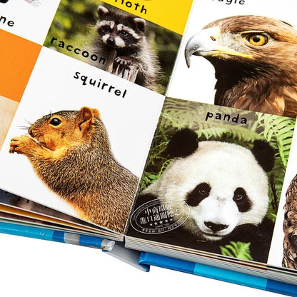 Montessori First 100 English Words Learning Cardboard Book Animals Colors Numbers Language Physical Picture Teaching Aids