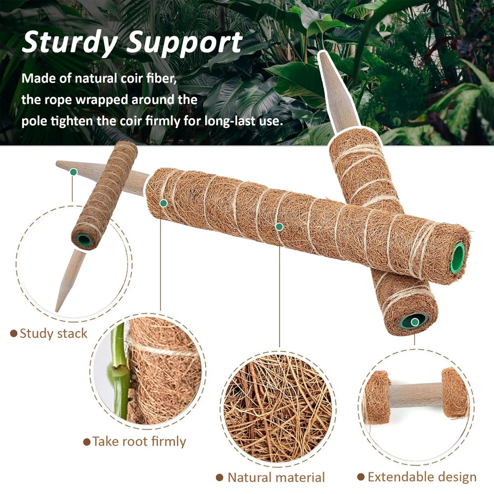 30/40/50cm Moss Pole for Indoor Climbing Plants Creepers to Grow Upwards Plant Support with Garden Ties
