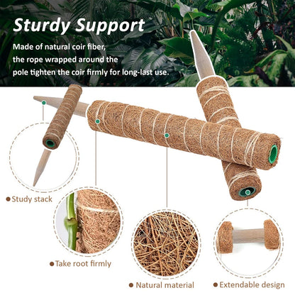 30/40/50cm Moss Pole for Indoor Climbing Plants Creepers to Grow Upwards Plant Support with Garden Ties