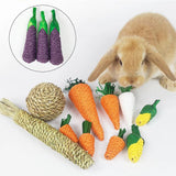 Hamster Rabbit Chew Toy Bite Grind Teeth Toys Corn Carrot Woven Balls for Tooth Cleaning Radish Molar Toys Cat Pet Supplies 1pc