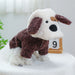 dog brown