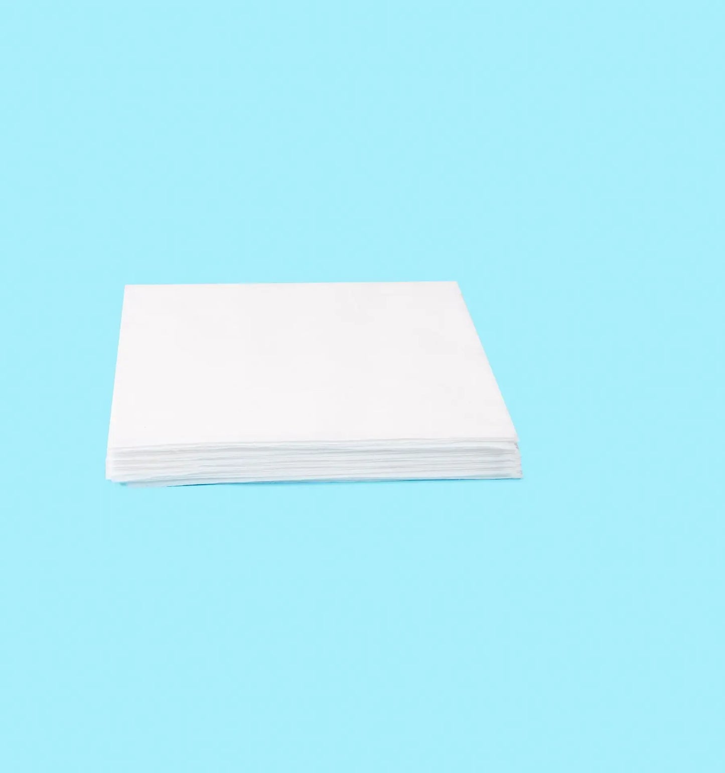 Pet Urine Absorbent Paper Strong Suction Urine Pad Disposable Cat and Dog Specific Convenient Pet Urine Absorbent Wiping Paper