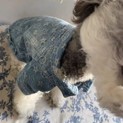 Pet Dog Cat Denim Coat Jacket Puppy Clothes Cool Apparel For Small Medium Dogs Cowboy Schnauzer Dobby Bear Teddy Pet Clothing