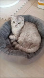 Very Soft Warm Dog Bed Pets Basket Cat House Sofa for Medium Large Dog Sofa Bed Cushion Dog Bed House Pet Supplies Accessories