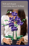 Creative Orchid Cymbidium Eternal Flowers Potted Plant Building Blocks Simulation Phalaenopsis DIY Bricks Toys Valentine's Gift