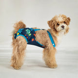 Unisex Pet Physiological Pants Underwear Girl Dog Diaper Strap Briefs Female Sanitary Panties Shorts for Dogs mascotas Supplies
