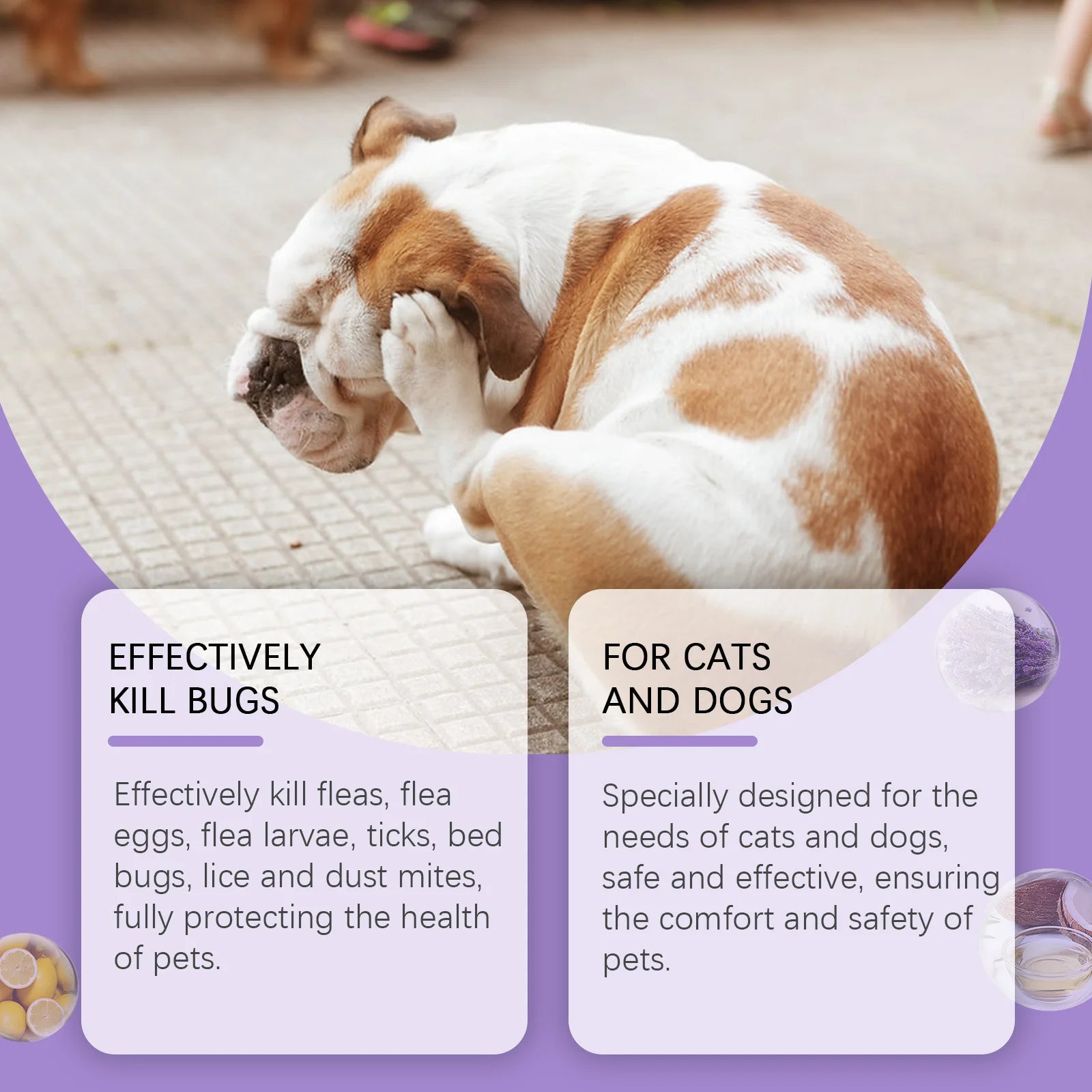 YEGBONG 50ml Flea Tick Prevention Spray for Dogs and Cats Fast-Acting Waterproof Outdoor Protection with Natural Essential Oils