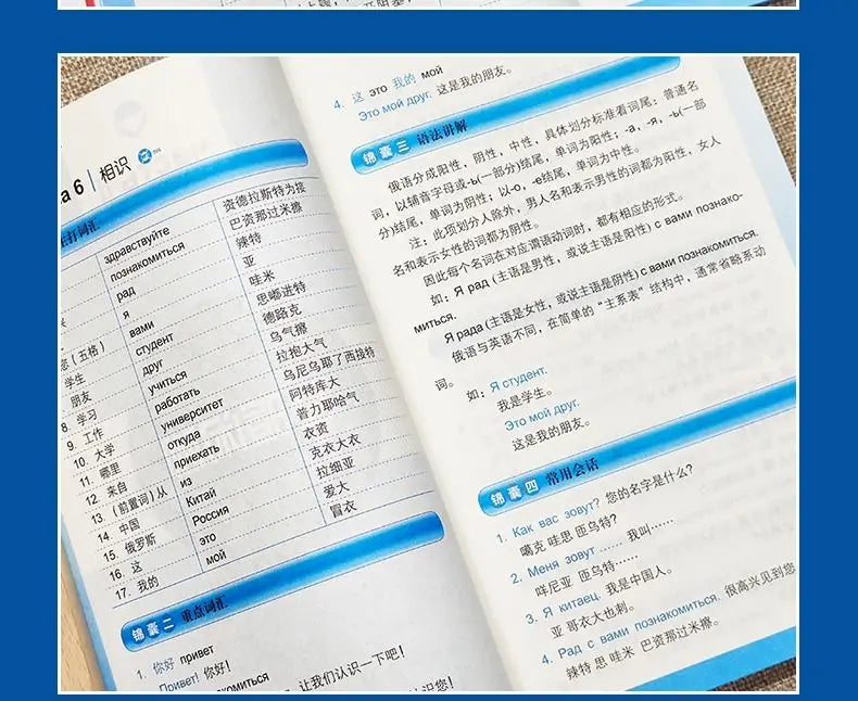Learn Russian From Scratch Chinese-Russian Bilingual Books Russian Multimedia Classroom From Scratch Language Learning Book