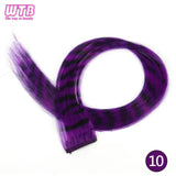 Synthetic One Card Hair Extension Wig Hair For Women Long Straight Clip-in Colored Zebra Line Feather Hair Extensions Fake Hair