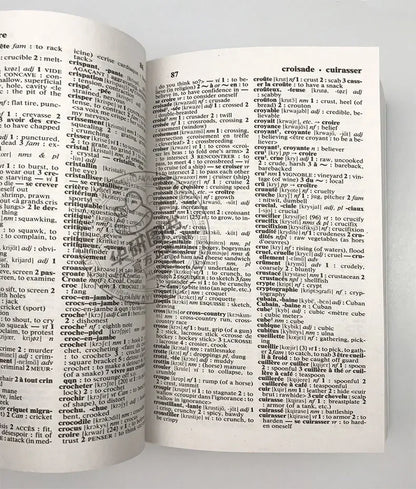 Merriam Webster's French English Dictionary Wordpower Original Language Learning Books