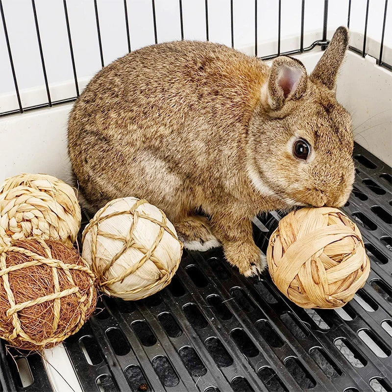 10 Styles 7CM Chewing Braided Ball Guinea Pig Rabbit Hamster Small Animal Play Pet Interactive Chew Toy Natural Grass Ball