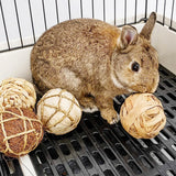10 Styles 7CM Chewing Braided Ball Guinea Pig Rabbit Hamster Small Animal Play Pet Interactive Chew Toy Natural Grass Ball