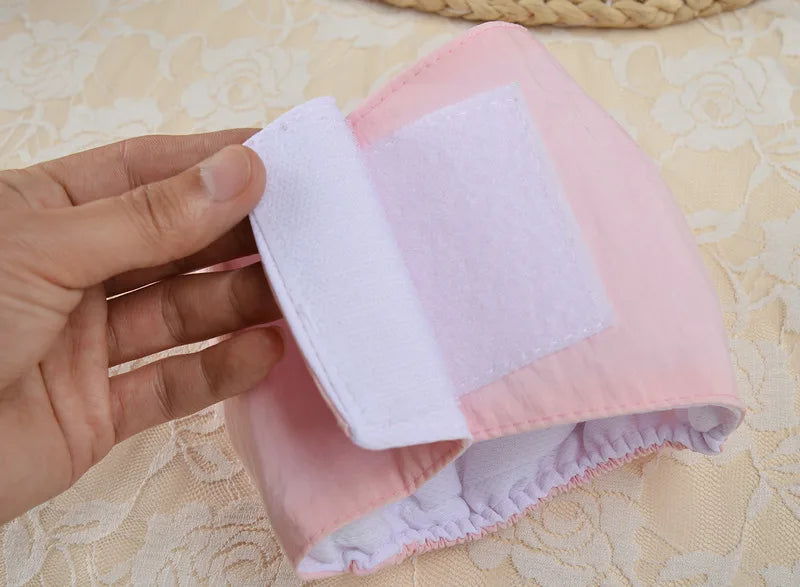 Reusable Sanitary Panties Washable Small Dog Pet Diapers Female Dogs Large Physiological Pants Shorts Male Cats Pet Menstruation