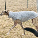 Fashion White Fleece Sleeveless Sweatershirt for Whipbit Spring Warm Jumpsuit for Italian Greyhound Mid Dogs Thick Autumn Vest