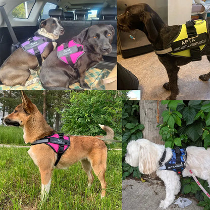 Dog Harness Vest ID Patch Customized Reflective Breathable Adjustable Pet Harness For Dog NO PULL Pet Outdoor Harness